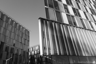 2019-09-10 022 Lille (Rijsel) Avenue Willy Brandt (raw) (klein)