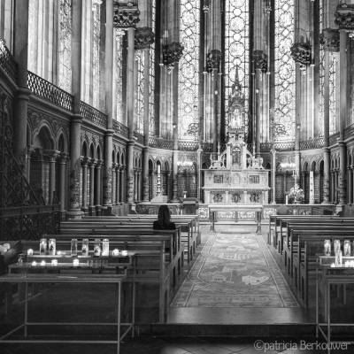 2019-09-10 149 Lille (Rijsel) Cathédrale Notre-Dame de la Treille (raw) (klein)