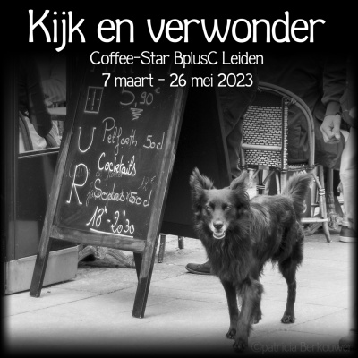 00 Affiche Kijk en verwonder, Coffee-Star BplusC Leiden (klein)